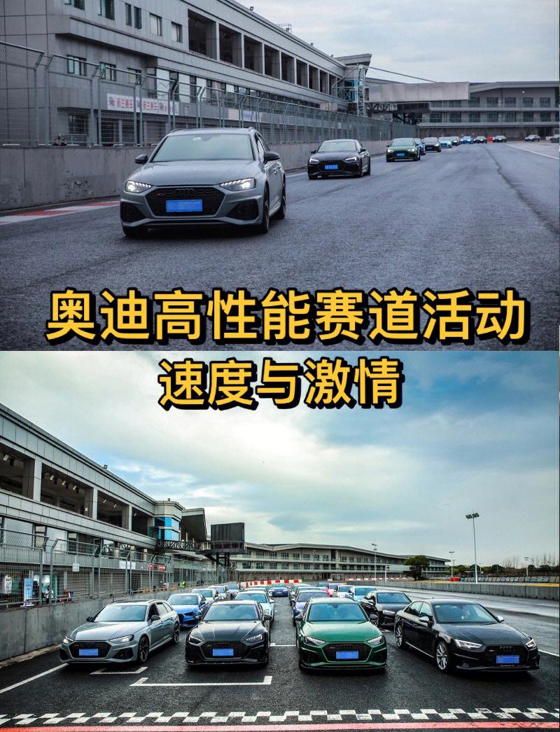 业余球队逐梦追踪，驰骋国际赛场圣殿的简单介绍