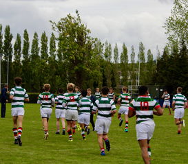 半岛体育新闻-鲁能客场力克四川力帆，双线拿下